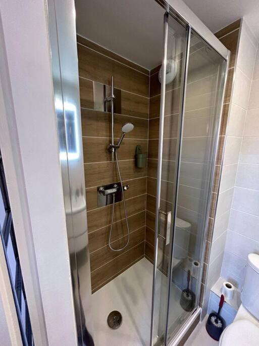 Le Studio Cygne Blanc Hypercentre Rue Riquet Тулуза Екстериор снимка