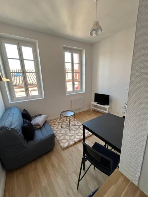 Le Studio Cygne Blanc Hypercentre Rue Riquet Тулуза Екстериор снимка